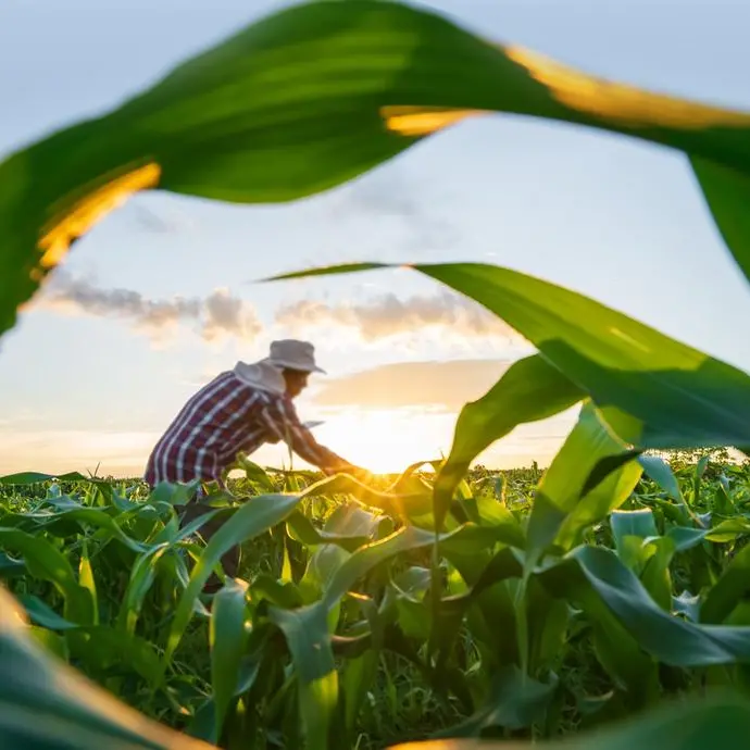 LOGIC Consulting’s ‘UAE’s Food Security Leap’ report highlights UAE’s progress in attaining global leadership in food security