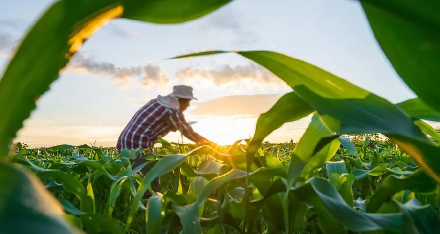 LOGIC Consulting’s ‘UAE’s Food Security Leap’ report highlights UAE’s progress in attaining global leadership in food security