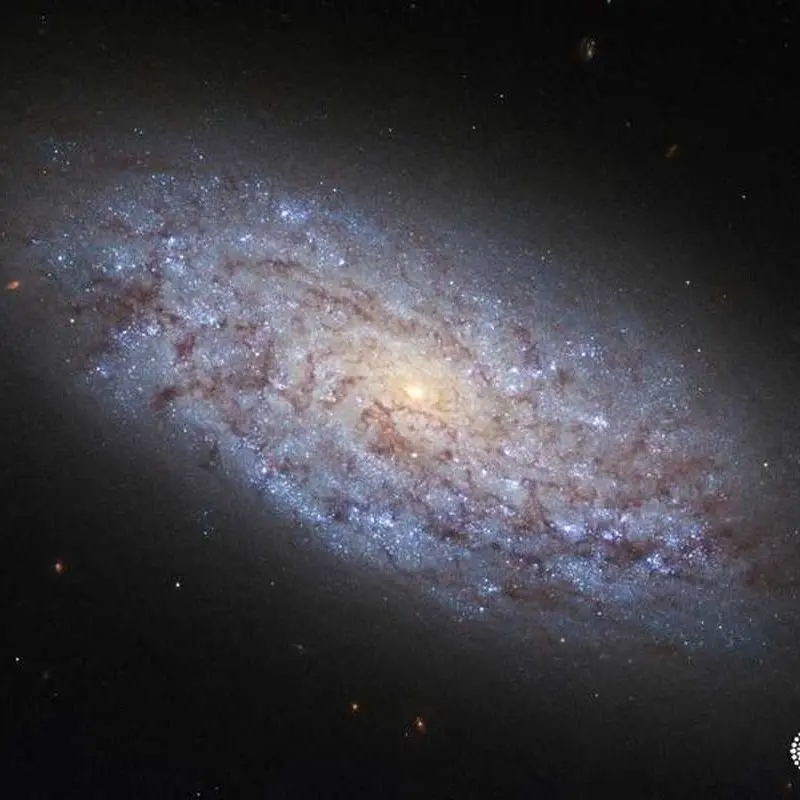 Creating a new generation of space enthusiasts in Kuwait