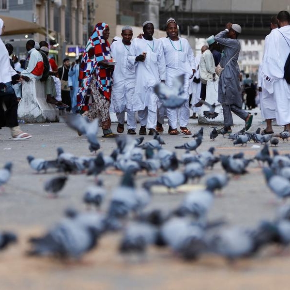 Largest Haj pilgrimage, since outbreak of pandemic, begins