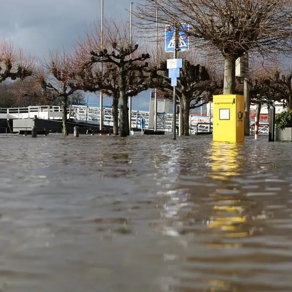 Part of Rhine river in Germany closed to shipping after water rises