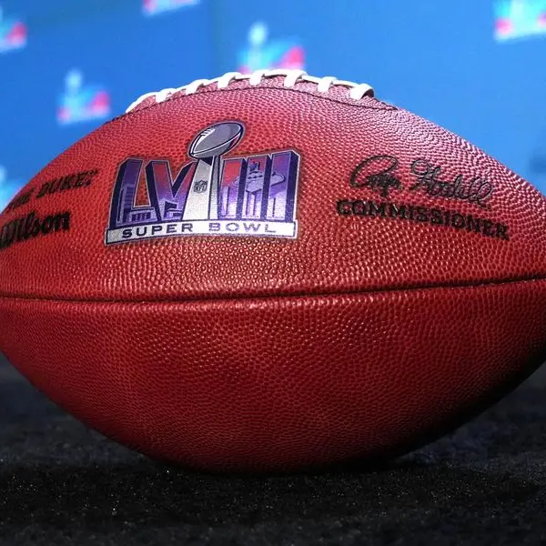 NFL says Super Bowl watched by 113mln viewers