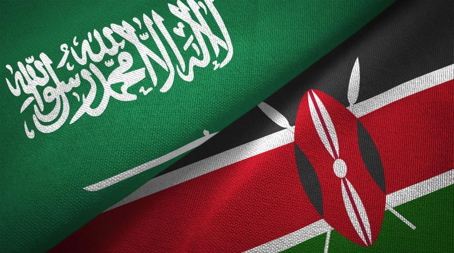 Saudska Arabija in Kenija pozivata k globalnemu sodelovanju pri mreži za krepitev zmogljivosti umetne inteligence