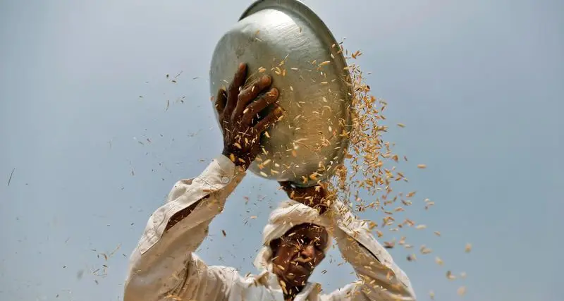 Despite Indian rice export fears, UAE traders confirm stocks for 3 months