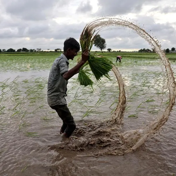 India's monsoon expected to be prolonged, threatening ripe crops, sources say