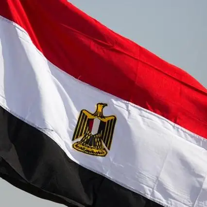 انخفاض حجم قوة العمل يؤثر على البطالة في مصر