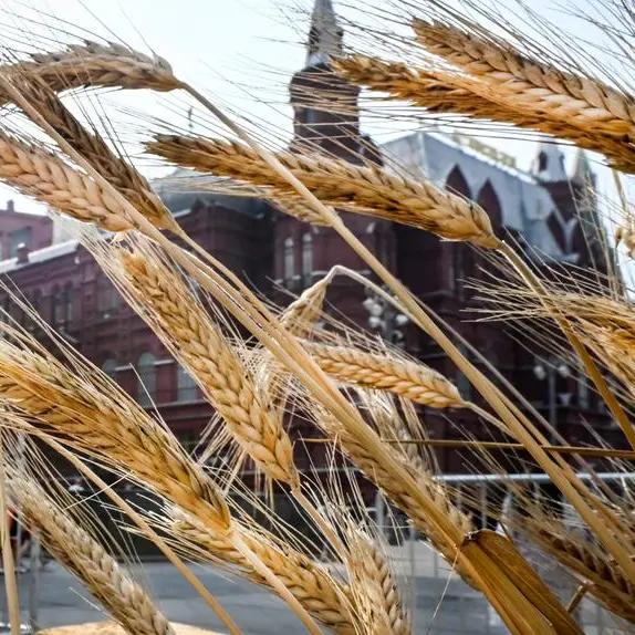 Russia destroyed 270,000 tonnes of grain in month: Kyiv