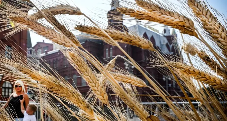 Russia destroyed 270,000 tonnes of grain in month: Kyiv