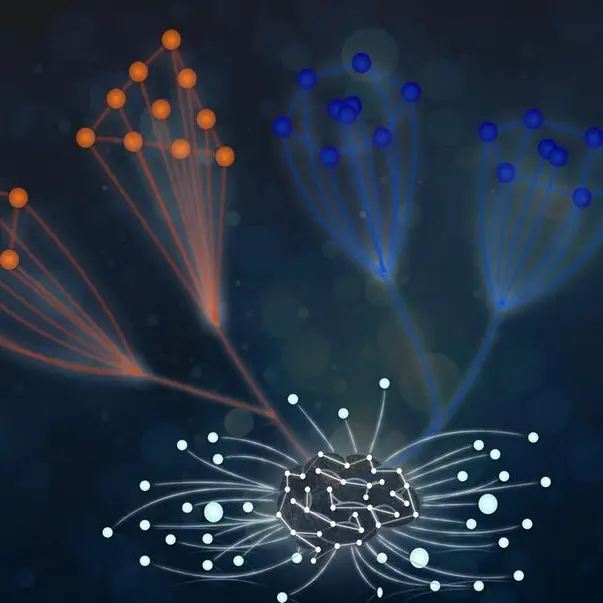 New study shows AI recreates foundations of particle physics, paving path toward discovering nature’s laws