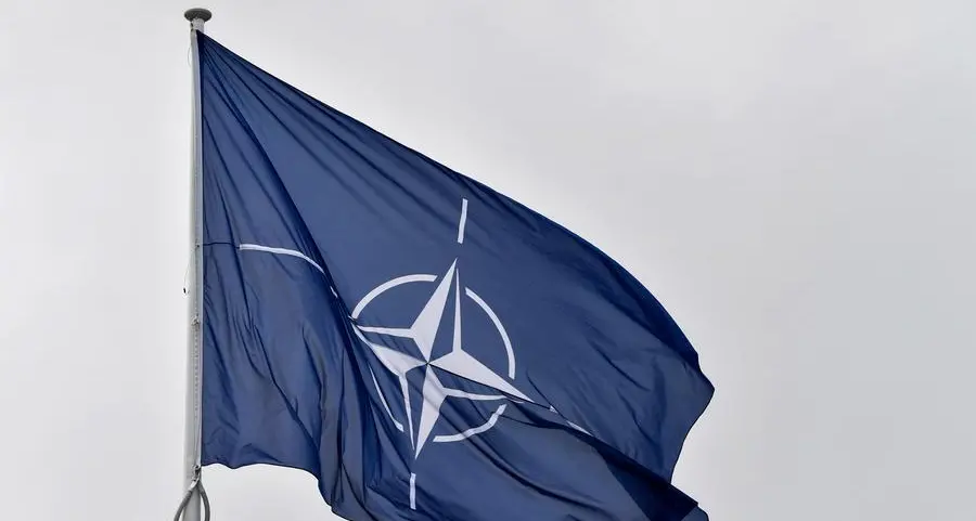 Majority of Finns want to join NATO before Sweden: poll