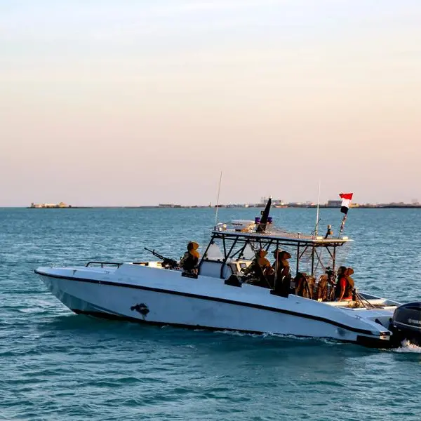 Kuwait deeply concerned over developments in Red Sea