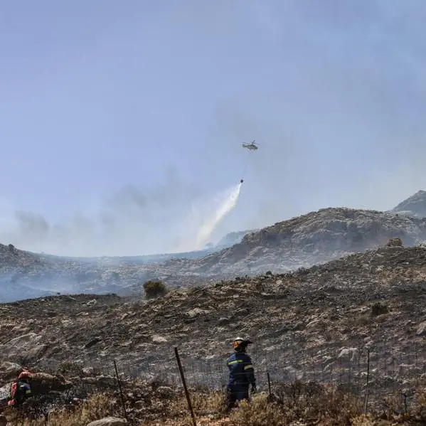 June Arctic wildfire emissions third highest in two decades: EU monitor