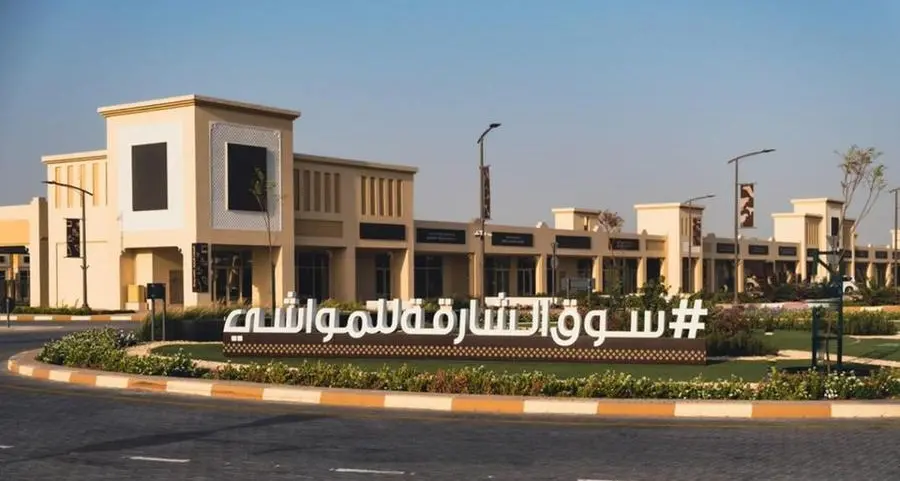 The Sharjah Livestock Markets preparing to welcome visitors and announce their working hours during the holy month