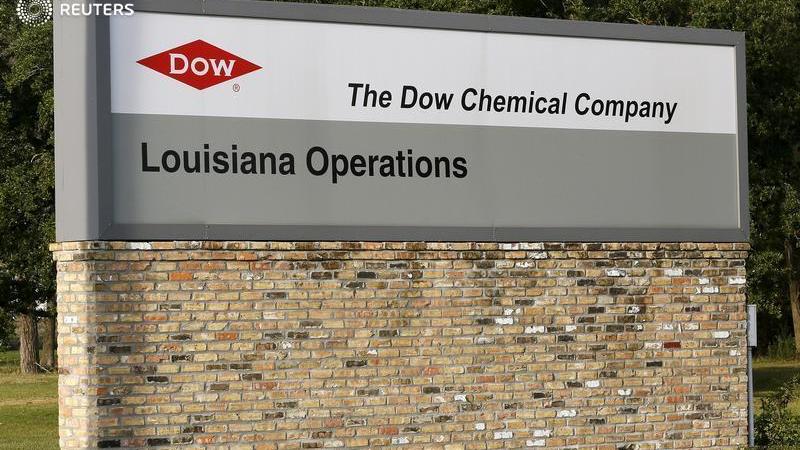 Dow to secure European supplies with minority stake in German energy hub