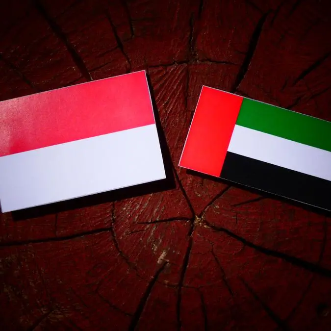 UAE, Indonesia ink MoU on Public Financial Management