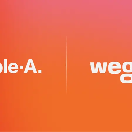 Wego introduces stablecoin payments through partnership with Triple-A for flights and travel bookings