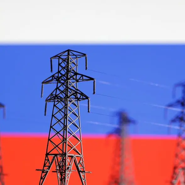 Russian electric power exports down 21.3% in 2023