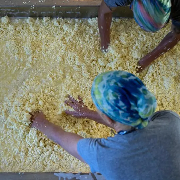 US cheesemakers learn to live with raw-milk regulations