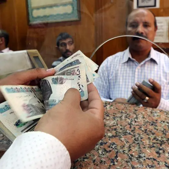 Cairo sees both US dollar, Egyptian pound as options to value state assets