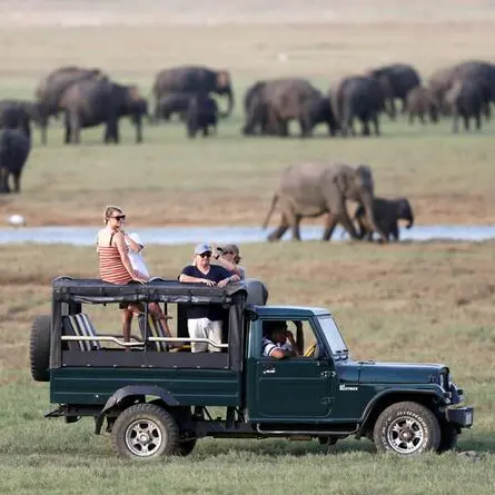 Sri Lanka's bomb carnage casts pall over tourism revival