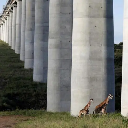 Kenya, Uganda revive bid to complete SGR project