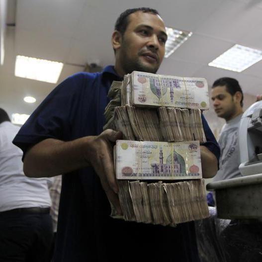 Egypt’s Finance Ministry plans to issue 35 bids for treasury bills and bonds worth $16.65bln in August