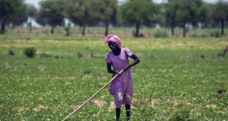 السودان يُغلق باب الاستثمار في القطاع الزراعي خوفًا من هدر الموارد