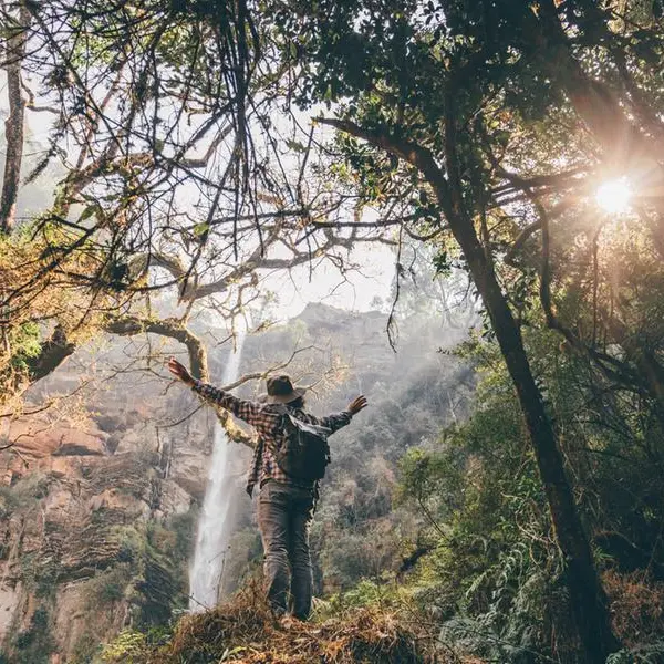 From timber to tourism: South Africa's forests energise local economies