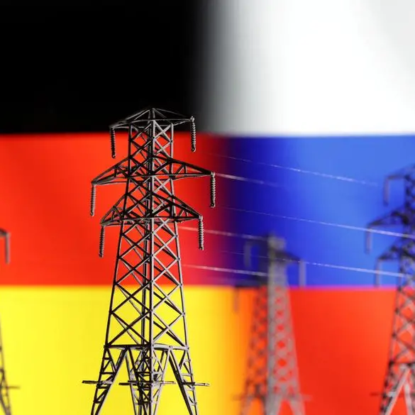 German power grid firms list costs to meet zero-carbon targets