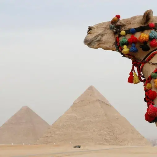 Middle East visitors to Egypt to increase 50% by 2022, says report