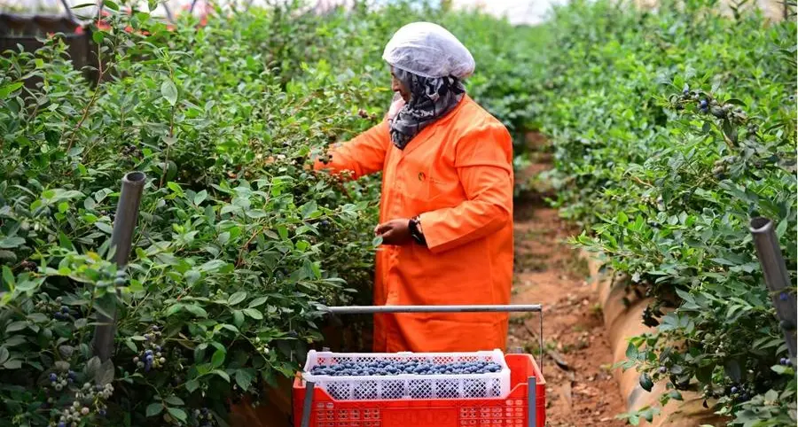 Elite Agro Holding expands Morocco footprint as investments in the Kingdom exceed AED 500 million