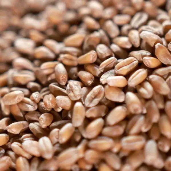 Soybeans firm ahead of USDA data; weak China demand caps gains