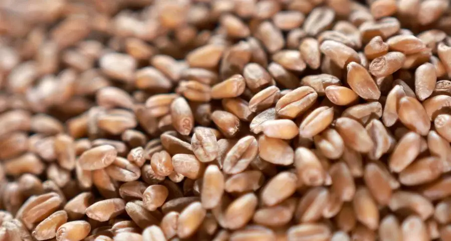 Soybeans firm ahead of USDA data; weak China demand caps gains