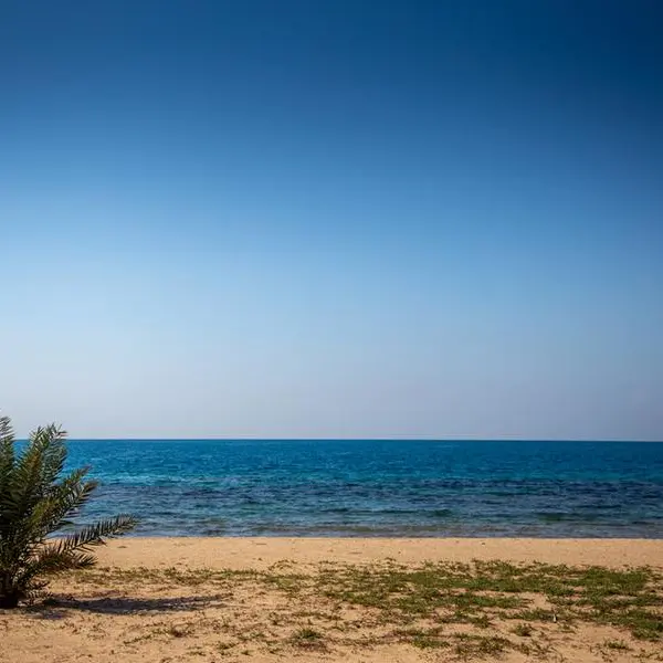 Greenpeace MENA on the sinking of the Rubymar ship