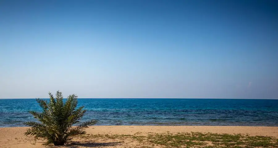 Greenpeace MENA on the sinking of the Rubymar ship