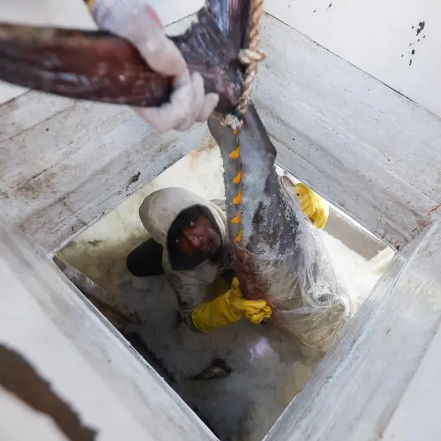 Japan, Russia sign fishing deal despite Ukraine tensions
