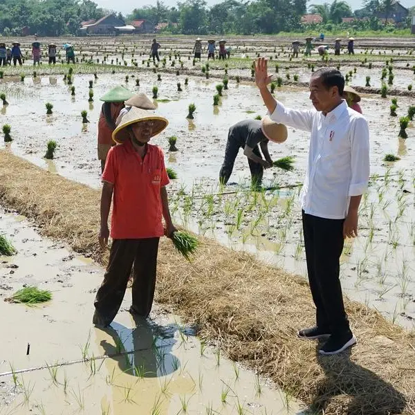 Indonesia president says secured rice import commitments from India, Thailand