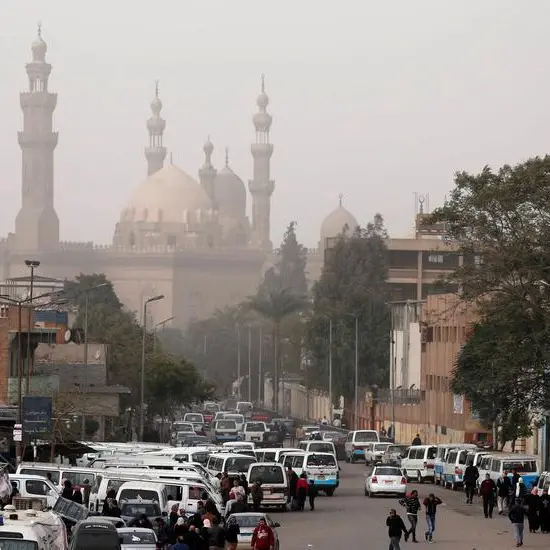 Cairo Investment gets presidential nod to add 7 faculties