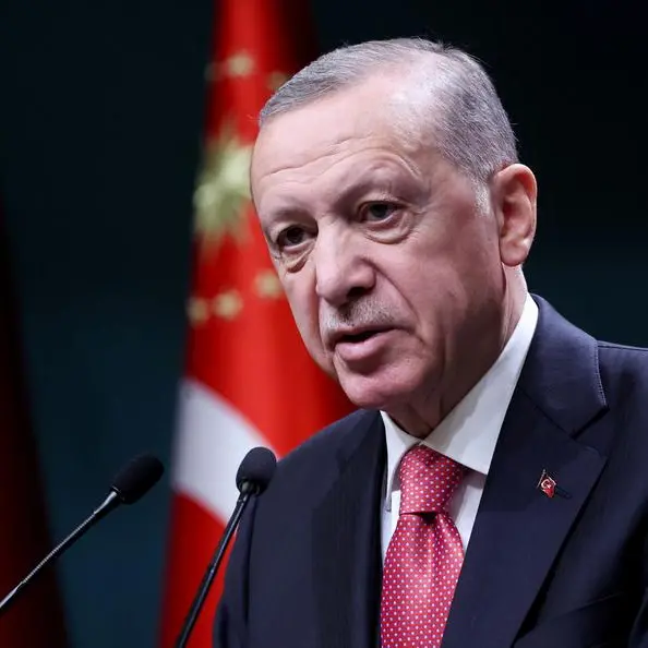 Erdogan: Turkey's mercurial 'chief' in fight of political life