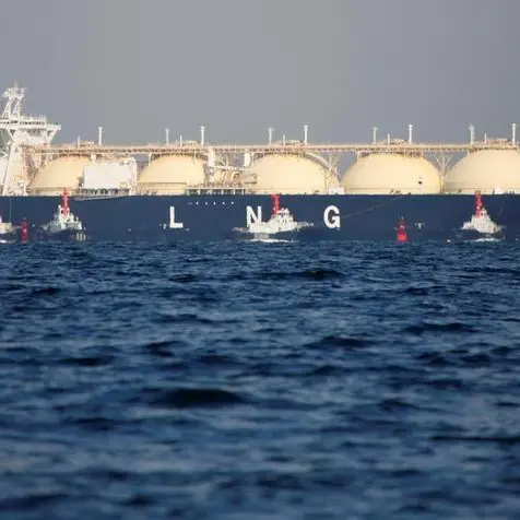 First LNG shipment arrives at new Dutch floating terminal