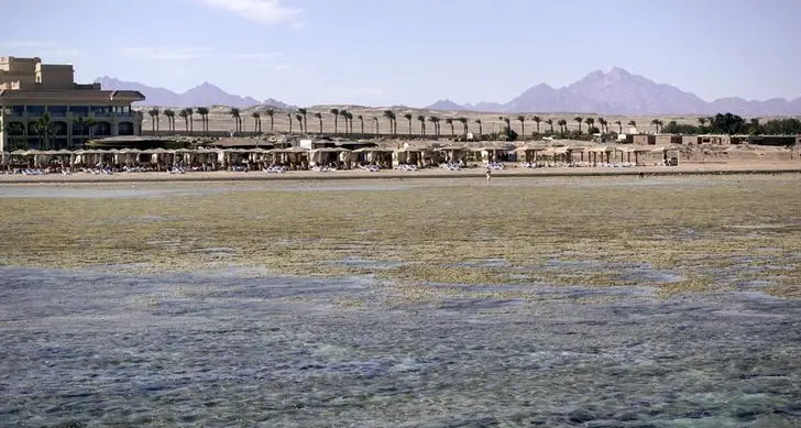 Egypt’s top Red Sea resort city developer in stake sale talks