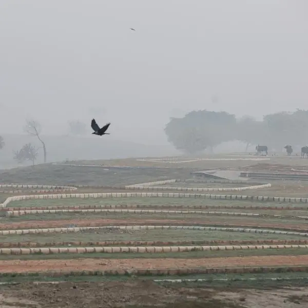 India's top court tells states to stop crop burning as New Delhi's air turns hazardous