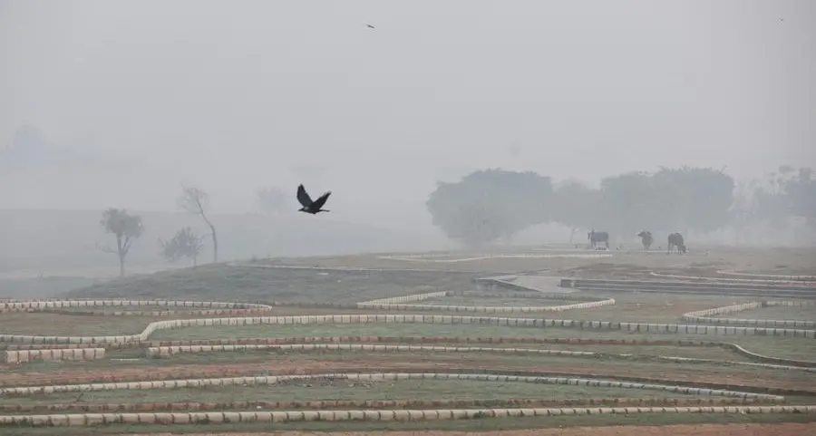 India's top court tells states to stop crop burning as New Delhi's air turns hazardous