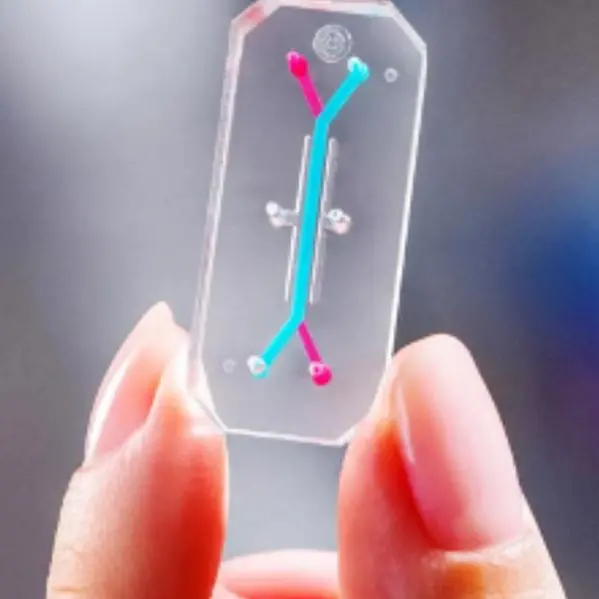 Lush Prize announces 2024 winners