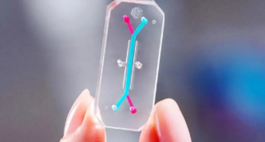 Lush Prize announces 2024 winners