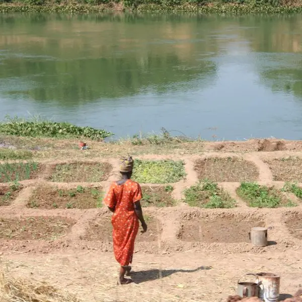 Food security: Stakeholders meet to brainstorm on insurance policies for Niger farmers