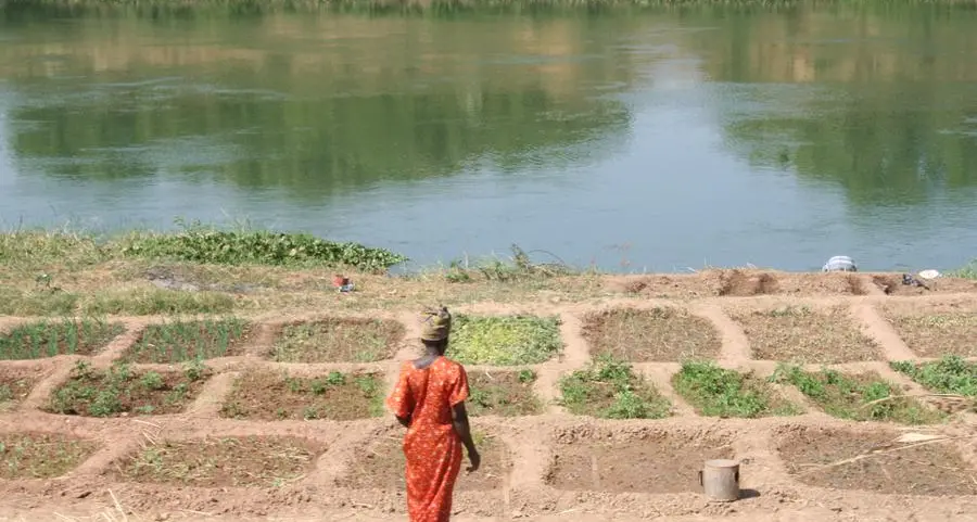 Food security: Stakeholders meet to brainstorm on insurance policies for Niger farmers