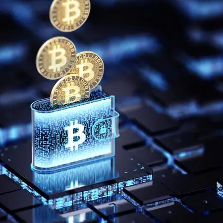 Dubai Insurance launches first crypto-enabled digital wallet in UAE