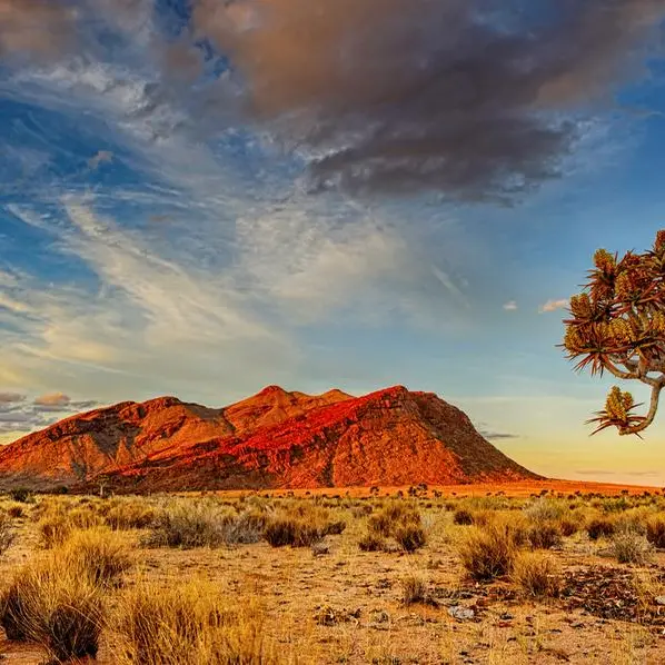 South Africa's first desert botanical garden opens at Richtersveld