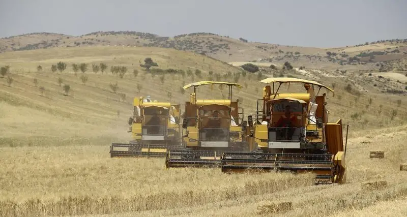 Algeria tenders to buy nominal 50,000 tonnes milling wheat - trade